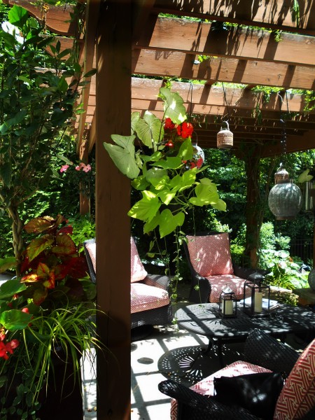 6 Stenger - Espl Newtown Square Pergola Hanging Container Garden MB (12)